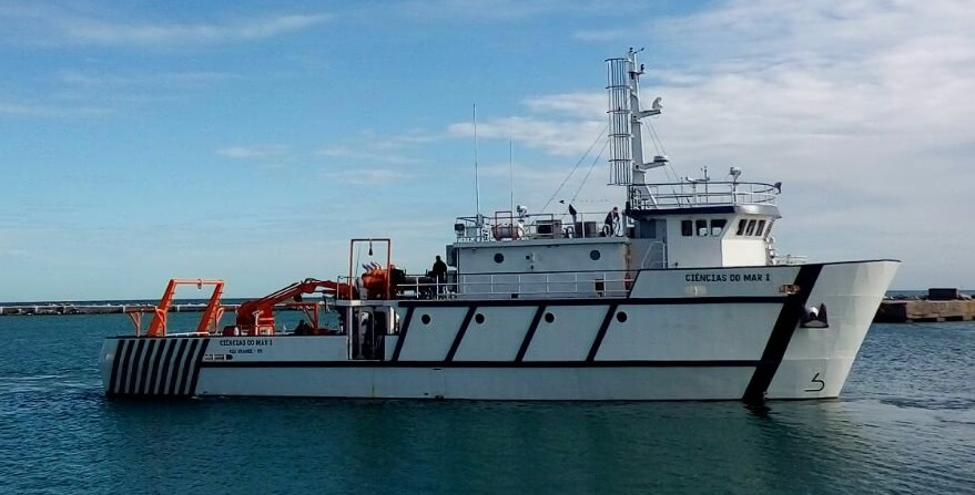 Conheça alguns dos projetos da TGS para proteção e pesquisa da biodiversidade da Bacia de Pelotas