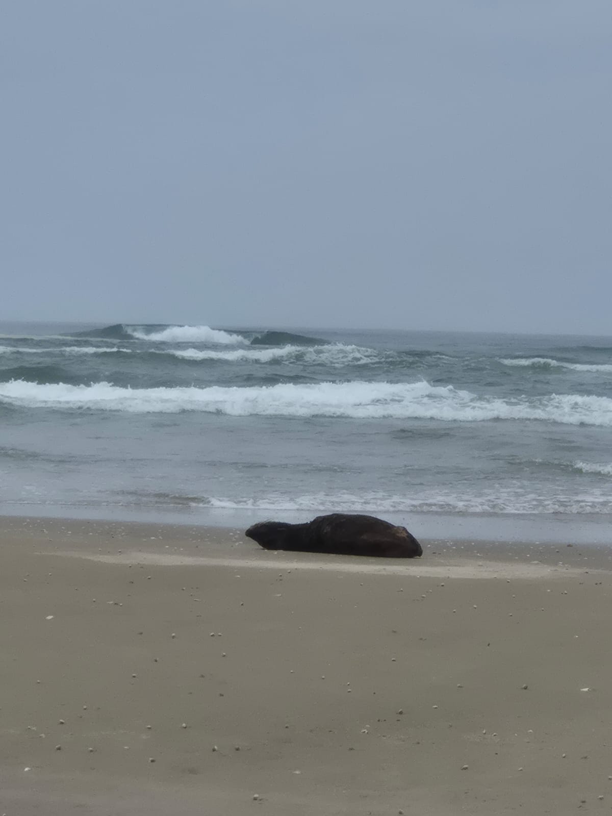 WhatsApp Image 2026-01-18 at 11.33.06