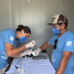 Ave migratória é resgatada em Passo de Torres