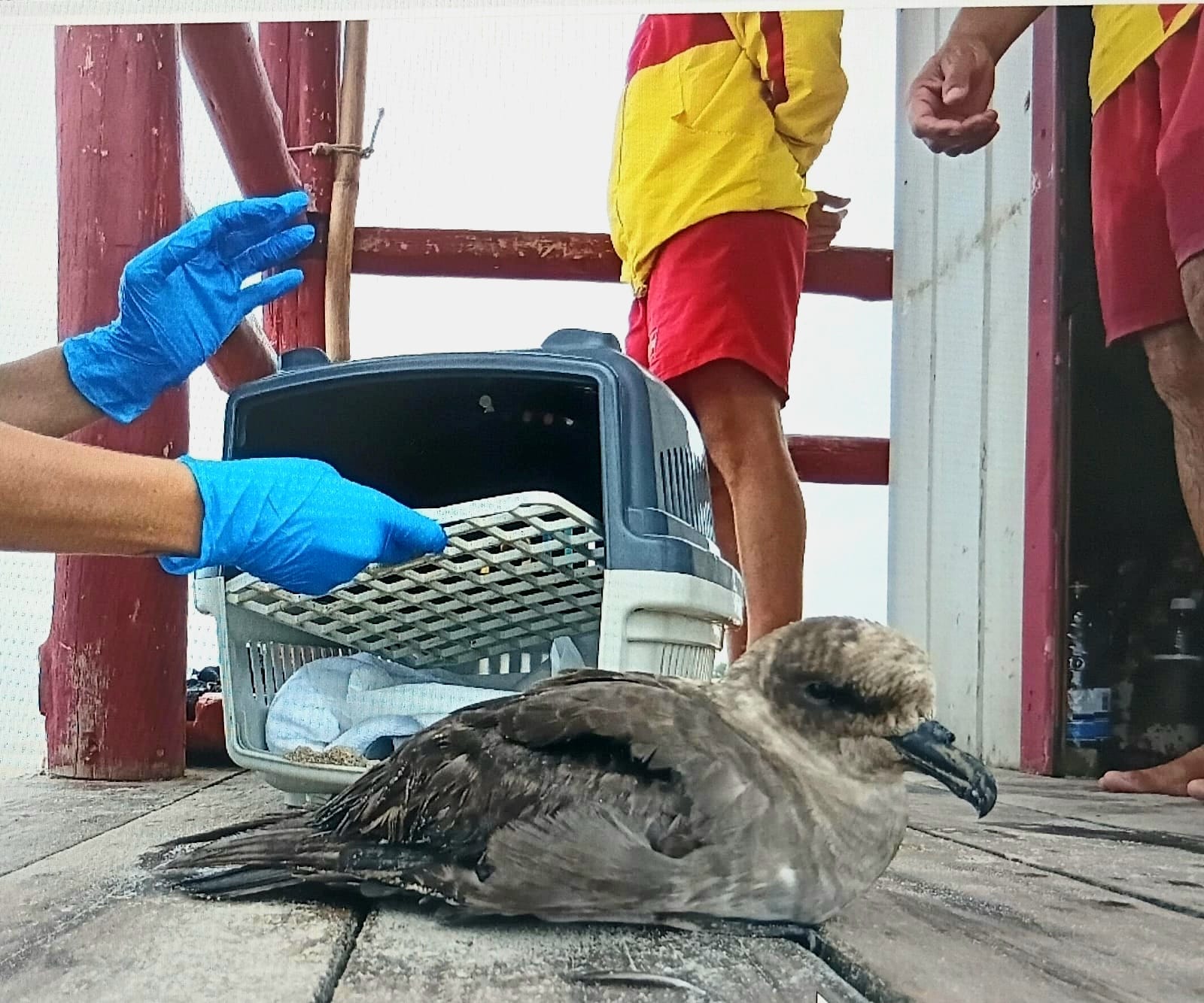 WhatsApp Image 2026-02-23 at 07.40.47 (2)