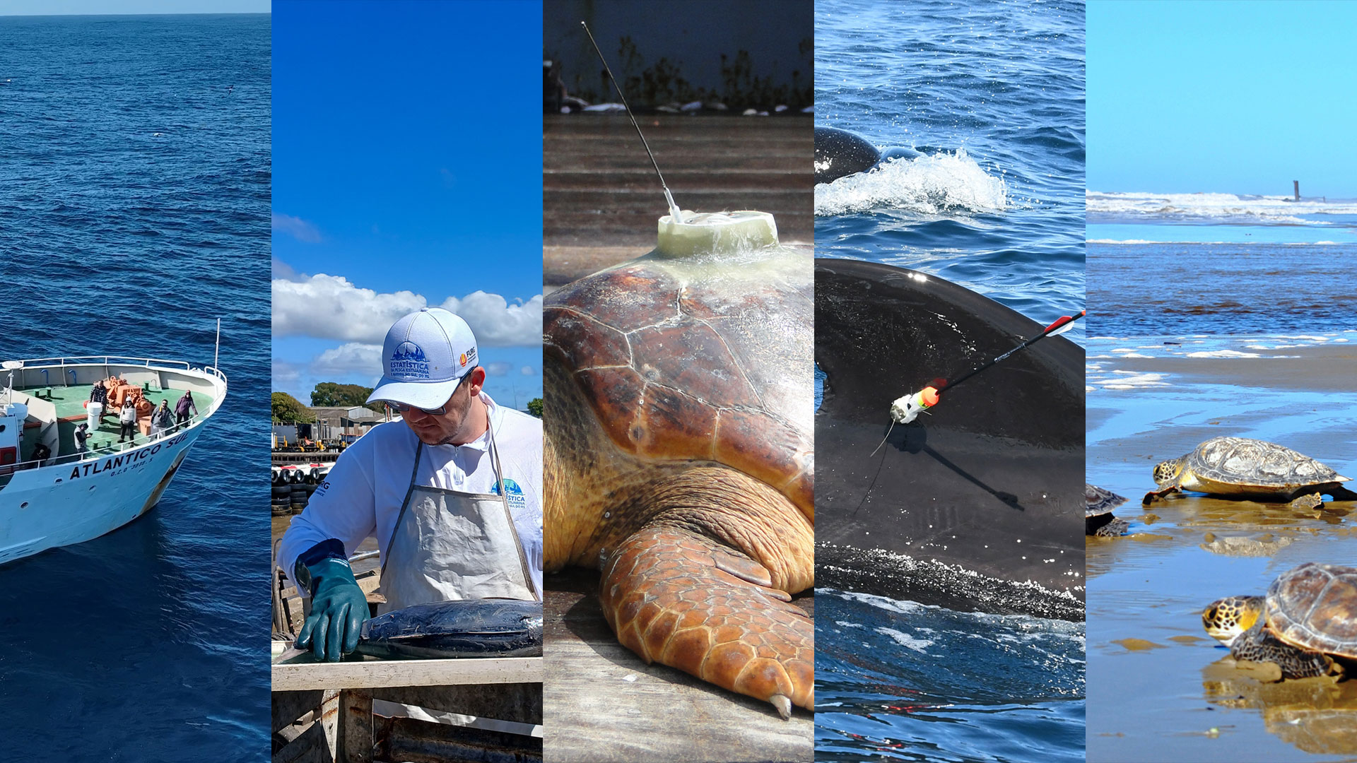 TGS apresenta projetos ambientais desenvolvidos na Bacia de Pelotas