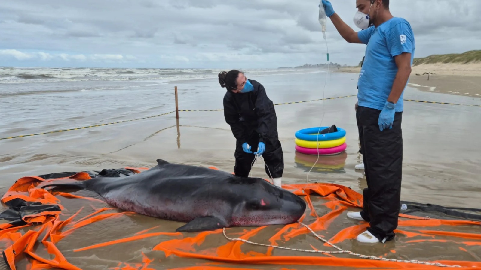 WhatsApp Image 2026-03-11 at 16.43.46